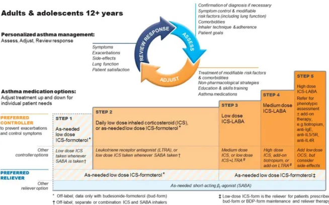 Figure 2. GINA treatment steps (GINA 2019).