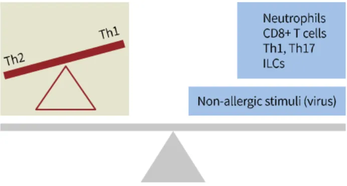 Figure  1.  Pathogenesis  of  asthma.