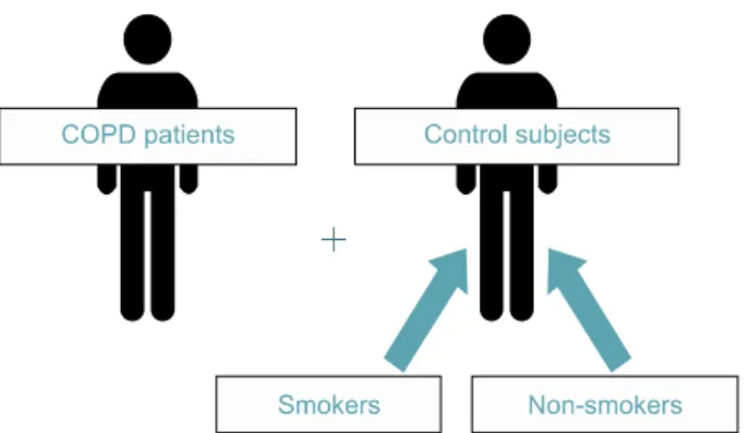 Figure  2.  Initial  study  population  in  ECLIPSE  study  (http://www.eclipse-copd.com/home.aspx).
