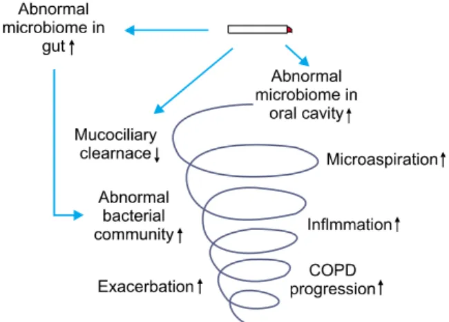 Figure  1.  Role  of  microbiome  in  the  pathogenesis  of  COPD.