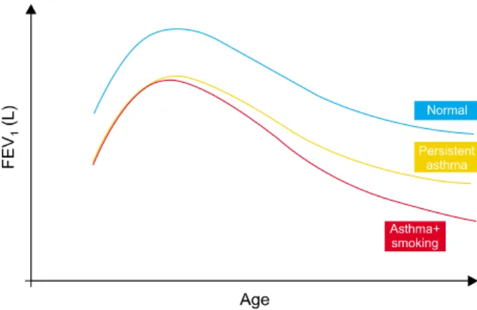 Figure  5.  FEV 1   change  thorough  the  entire  life.