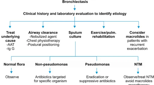 Figure 2. Overview of comprehensive approach to bronchiectasis management. Adapted from the article of McShane et al