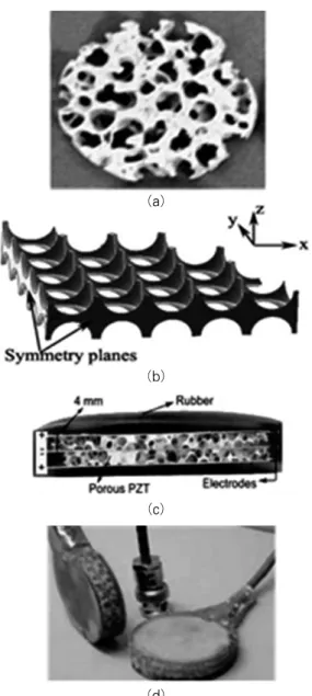 그림 5  (a),(b)  다공성 압전 물질(Ramesh,  R.,  et  al., 2005),  (c),(d)  3-3  압전 복합체 하이드로폰 (Kara, H