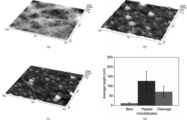 그림 5  마이크로 캔틸레버의 공진 주파수를 통하야 얻은 두 가지 결과값(Park, J. et al., 2009, PLoS ONE, Vol.4, e6248)(a) Cathepsin B 효소의 농도에 따라