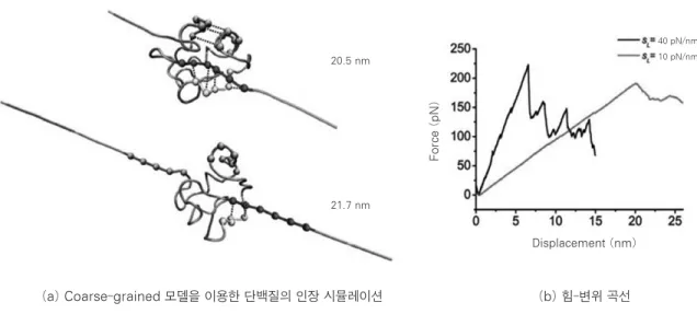 그림 4  Go  모델을 이용하여 단백질의 인장 시뮬레이션을 수행한 결과 (G.  Yoon  et  al.  The  Journal  of  Chemical Physics, 2012, 137, 025102) (a) Coarse-grained 모델을 이용한 단백질의 인장 시뮬레이션 (b) 힘-변위 곡선20.5 nm21.7 nmForce (pN) Displacement (nm) 40 pN/nm10 pN/nm