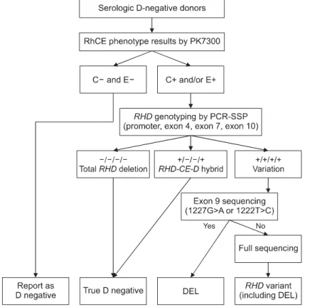 Fig. 1.  Algorithm  for  RHD  genotyping in  serological  D-negative  donors  with C  and/or  E  positive  phenotype.