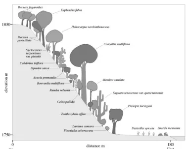 Figure 1. Map of the study area.