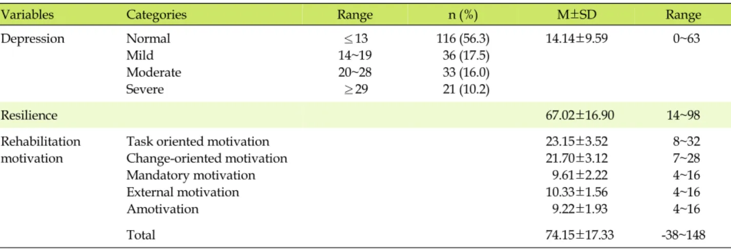 Table 2. The Level of Depression, Resilience, and Rehabilitation Motivation  (N=206)