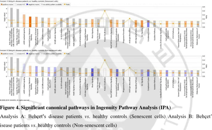 Figure 4. Significant canonical pathways in Ingenuity Pathway Analysis (IPA)   