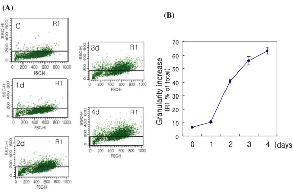 Fig. 3.    Analysis of increase in TGF  ββββ 1 induced cellular granularity. Mv1Lu cells 