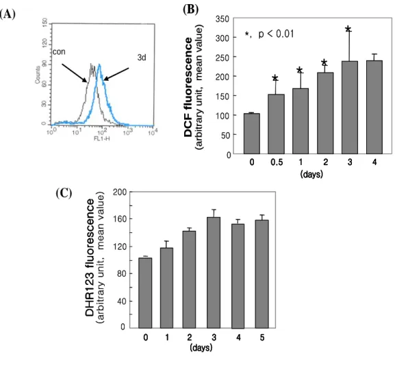 Fig.  8. Prolonged ROS generation during TGF  ββββ 1-induced senescence like growth 