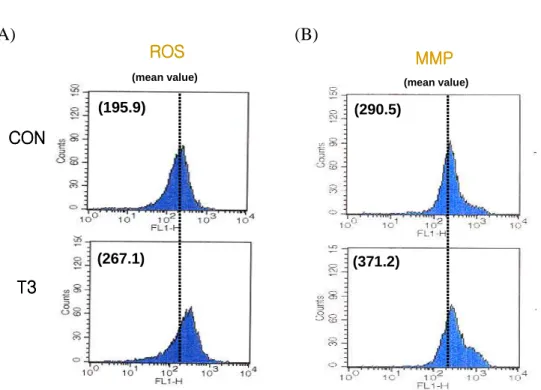 Fig. 10. TGF  ββββ 1 induced increased in intracellular ROS level and ∆Ψm disruption 