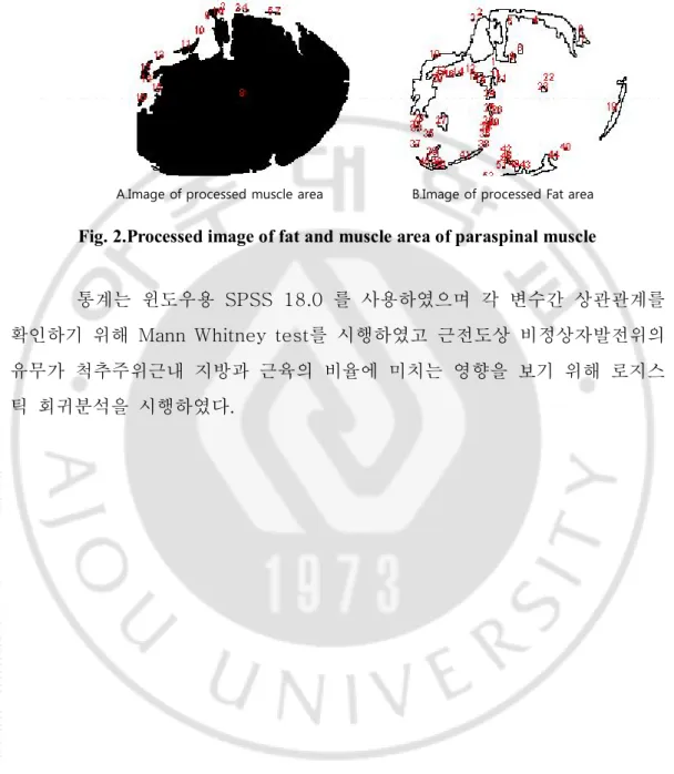 Fig. 2.Processed image of fat and muscle area of paraspinal muscle 