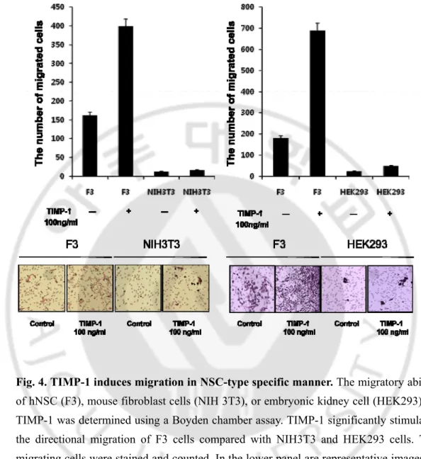 Fig. 4. TIMP-1 induces migration in NSC-type specific manner. The migratory ability 