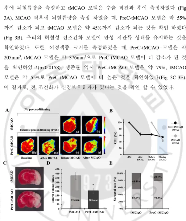 Fig.  3.  Cerebral  blood  flow,  infarct  volume,  and  survival  rate  in  tMCAO  and  PreC- PreC-tMCAO  models
