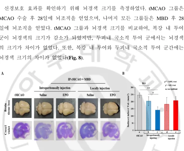 Fig.  8.  Comparison  of  neuroprotective  effect  in  EPO  administration  groups.  Representative 