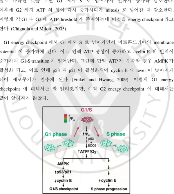 Figure 3. G1 energy checkpoint 