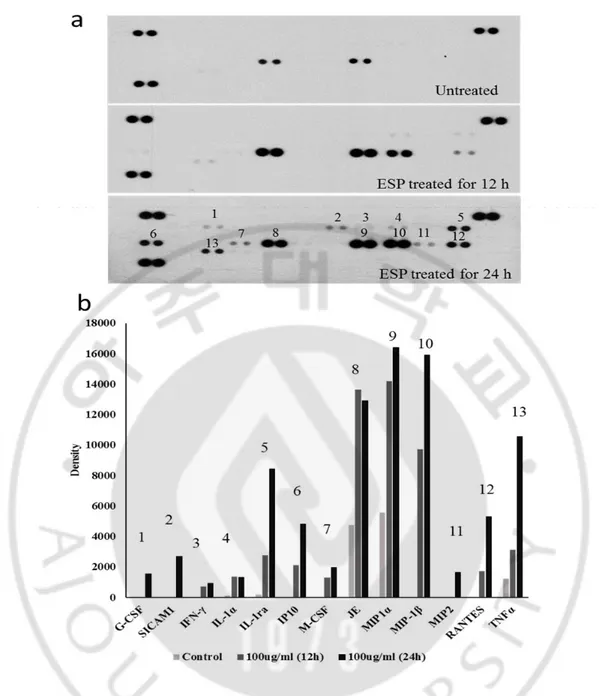 Fig.  4.  Profiles  of  cytokines  and  chemokines  induced  by  Nf-ESPs.  BV2  cells  were either untreated or treated with 100 μg/ml of N