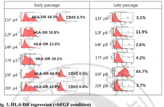 Fig. 3. HLA-DR expression (+bFGF condition) 
