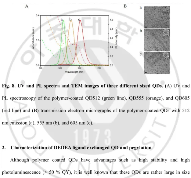Fig. 8. UV and PL spectra and TEM images of three different sized QDs. (A) UV and  PL  spectroscopy  of  the  polymer-coated  QD512  (green  line),  QD555  (orange),  and  QD605  (red  line)  and  (B)  transmission  electron  micrographs  of  the  polymer-