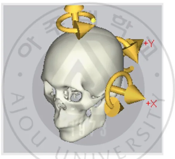 Fig. 2. X-, y-, and z-coordinates in this study. A positive coordinate value indicates the 