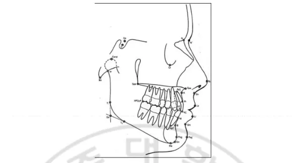 Fig. 1. Reference points used in this study. Sella - the point representing the midpoint of 