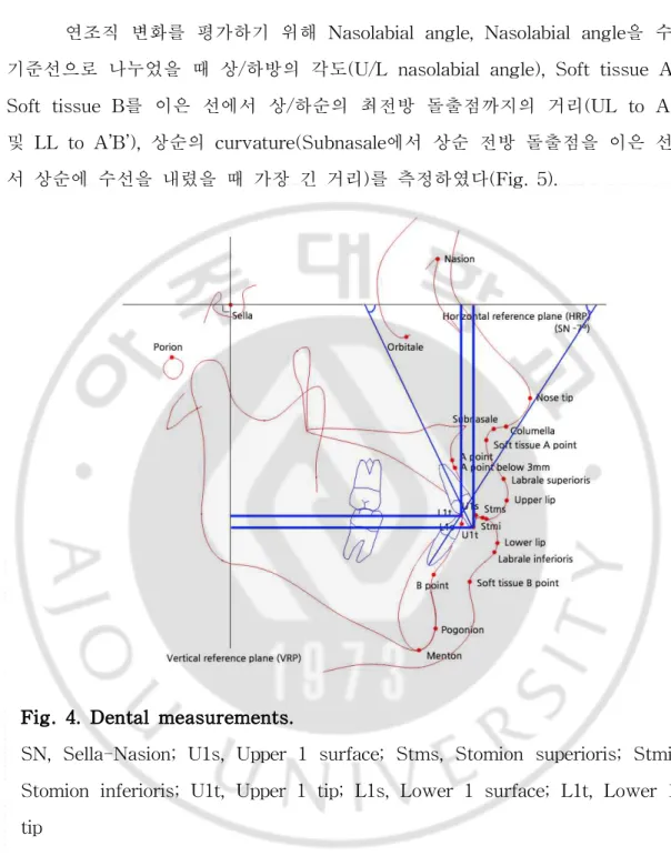 Fig. 4. Dental measurements.