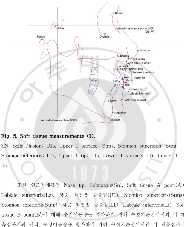 Fig. 5. Soft tissue measurements (1).