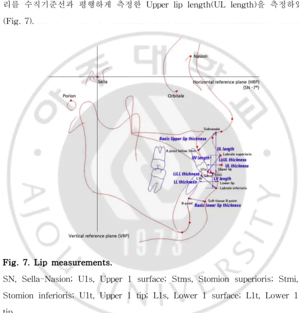 Fig. 7. Lip measurements.