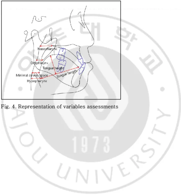 Fig. 4. Representation of variables assessments 