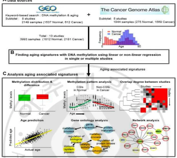 Fig.  1.  Study  overview.  (A)  Sources  of  DNA  methylation  data  with  sample  information