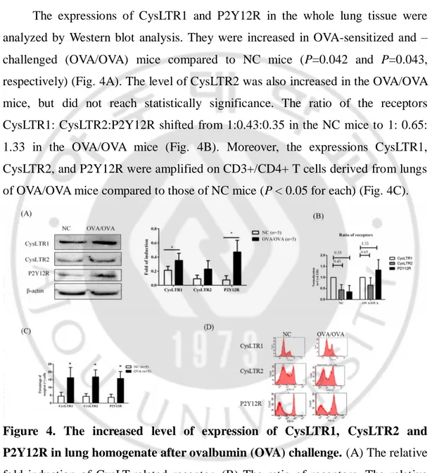 Figure  4.  The  increased  level  of  expression  of  CysLTR1,  CysLTR2  and  P2Y12R in lung homogenate after ovalbumin (OVA) challenge