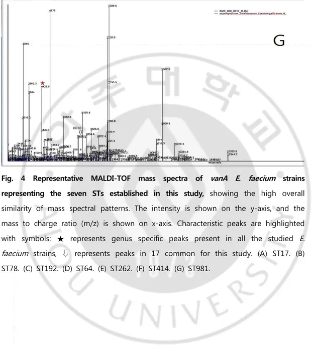Fig.  4  Representative  MALDI-TOF  mass  spectra  of  vanA E.  faecium   strains  representing  the  seven  STs  established  in  this  study,  showing  the  high  overall  similarity  of  mass  spectral  patterns