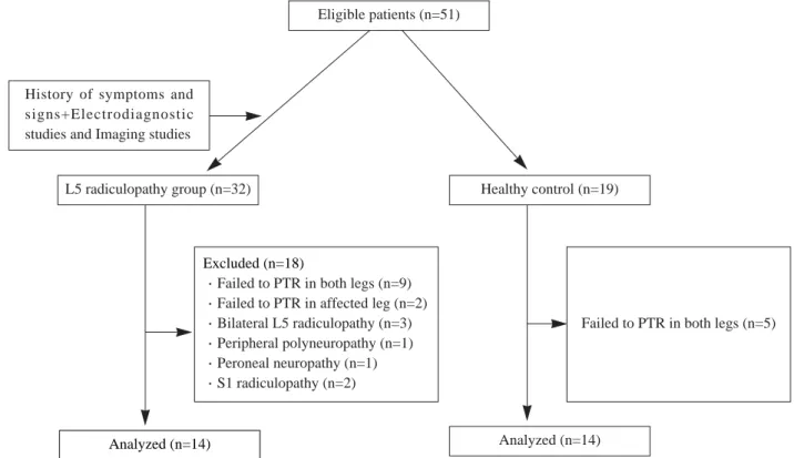 Fig. 1. Flow chart of the study. 