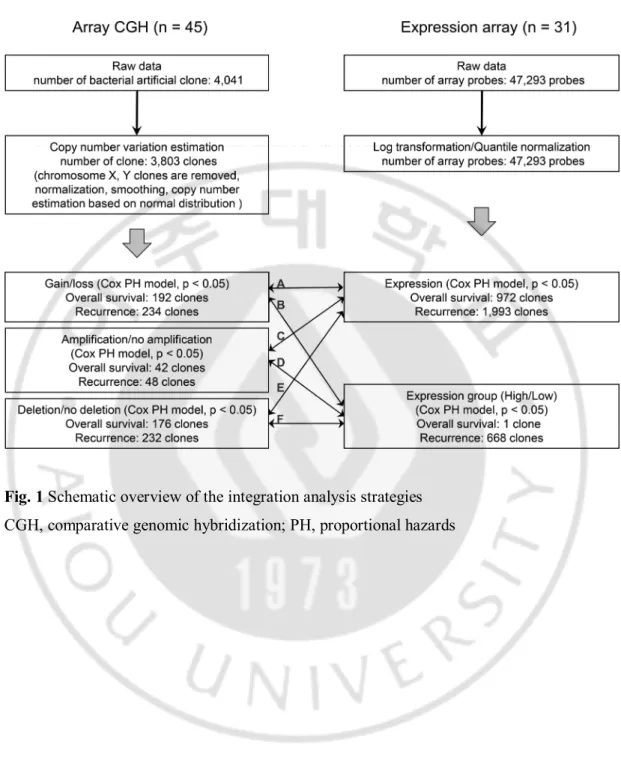 Fig. 1 Schematic overview of the integration analysis strategies 