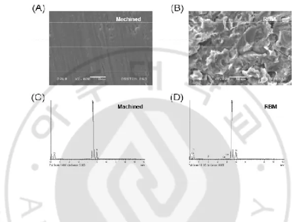 Fig. 1. Surface morphologhy of titanium discs for osteoblastic cell culture. SEM images 