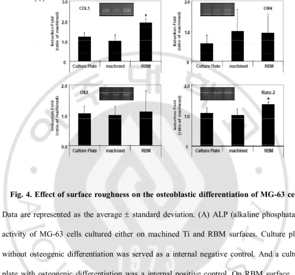 Fig. 4. Effect of surface roughness on the osteoblastic differentiation of MG-63 cells
