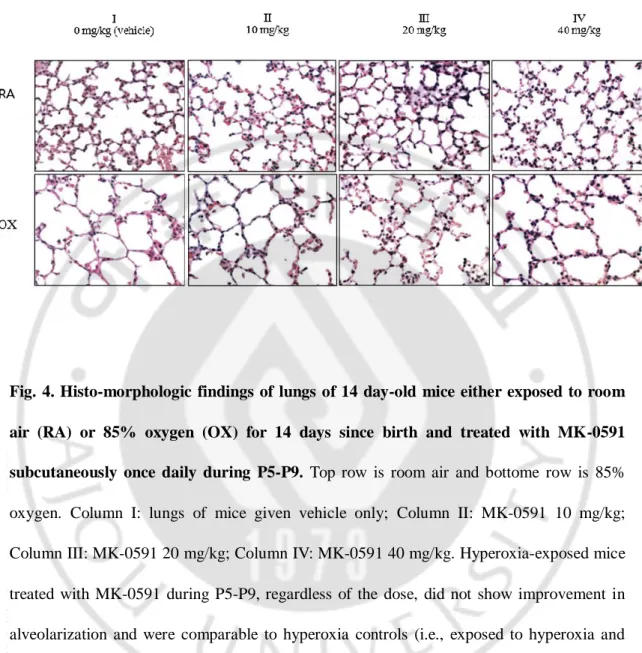 Fig.  4. Histo-morphologic  findings  of  lungs  of  14  day-old  mice  either  exposed  to  room 