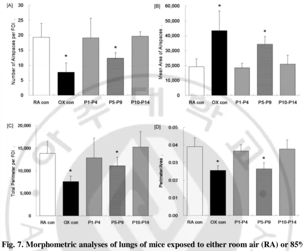 Fig. 7. Morphometric analyses of lungs of mice exposed to either room air (RA) or 85% 