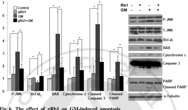 Fig. 6.  The effect of gRb1 on GM-induced apoptosis.   