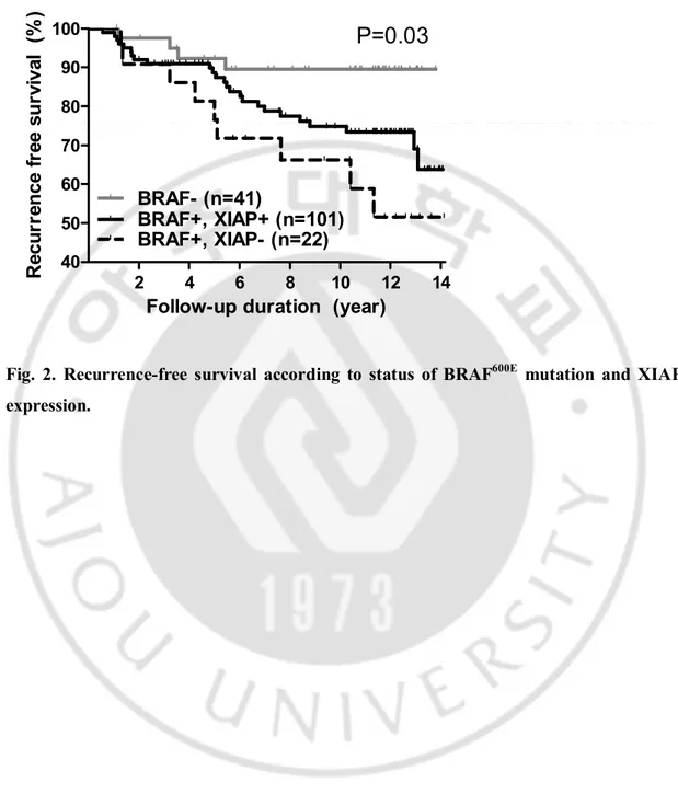 Fig.  2.  Recurrence-free  survival  according  to  status  of  BRAF 600E   mutation  and  XIAP  expression