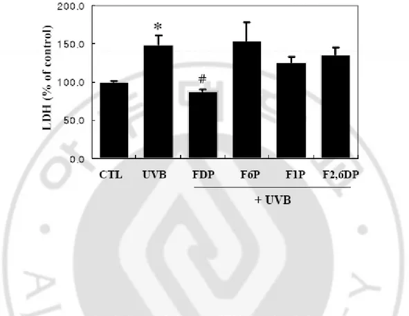 Fig.  3.  Effects  of  glycolytic  metabolites  on  UV-induced  cell  death.  Cells  were  UVB-