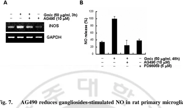 Fig. 7.      AG490 reduces gangliosides-stimulated NO in rat primary microglial  cells