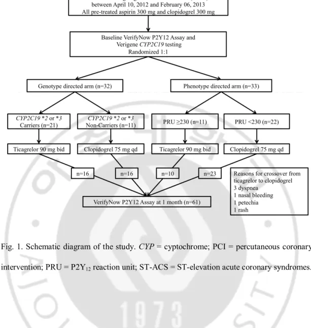 Fig. 1. Schematic diagram of the study. CYP = cyptochrome; PCI = percutaneous coronary  intervention; PRU = P2Y 12  reaction unit; ST-ACS = ST-elevation acute coronary syndromes