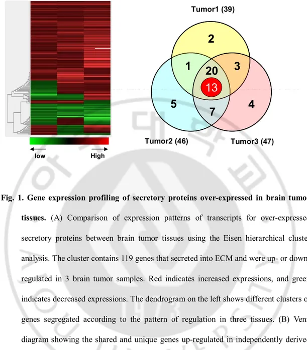 Fig.  1.  Gene  expression  profiling  of  secretory  proteins  over-expressed  in  brain  tumor  tissues