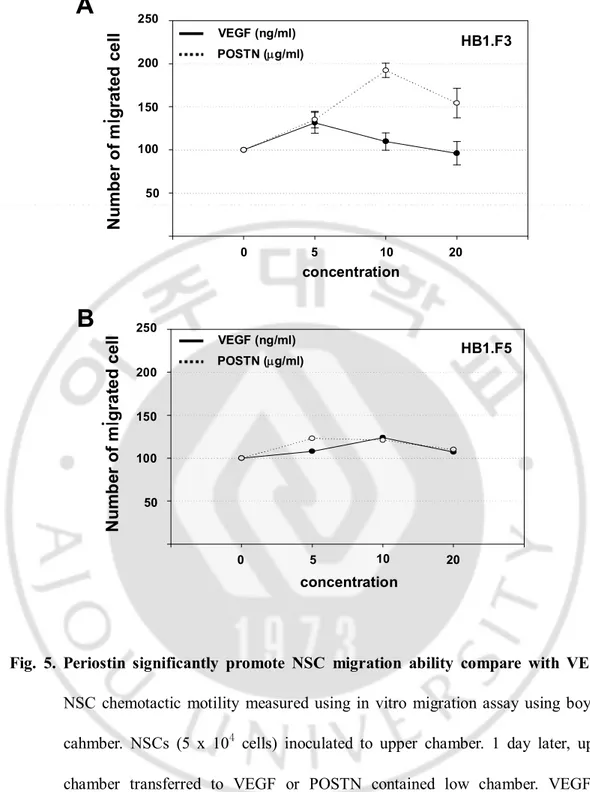 Fig.  5.  Periostin  significantly  promote  NSC  migration  ability  compare  with  VEGF