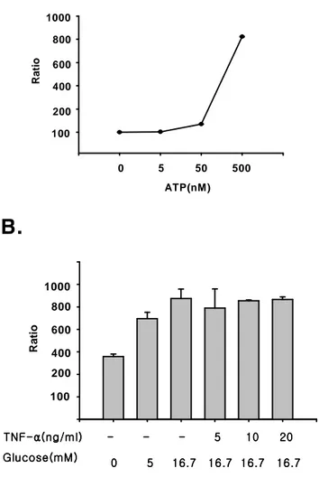 Fig. 12.   12.   12.  Effect  12.   Effect  Effect  Effect of  of TNF- of  of  TNF- TNF- TNF-α α α α    on  on ATP  on  on  ATP  ATP production  ATP  production  production  production in  in  in INS-1  in  INS-1  INS-1  INS-1 cell