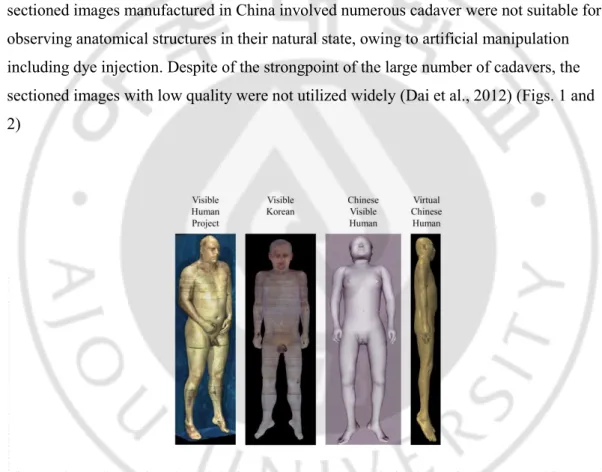 Fig. 2. Three-dimensional models from the data sets made in the United States, China, and  Korea