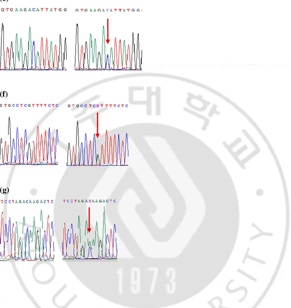 Figure 1. Partial sequences of the LHCGR gene show the polymorphisms detected in the  present study