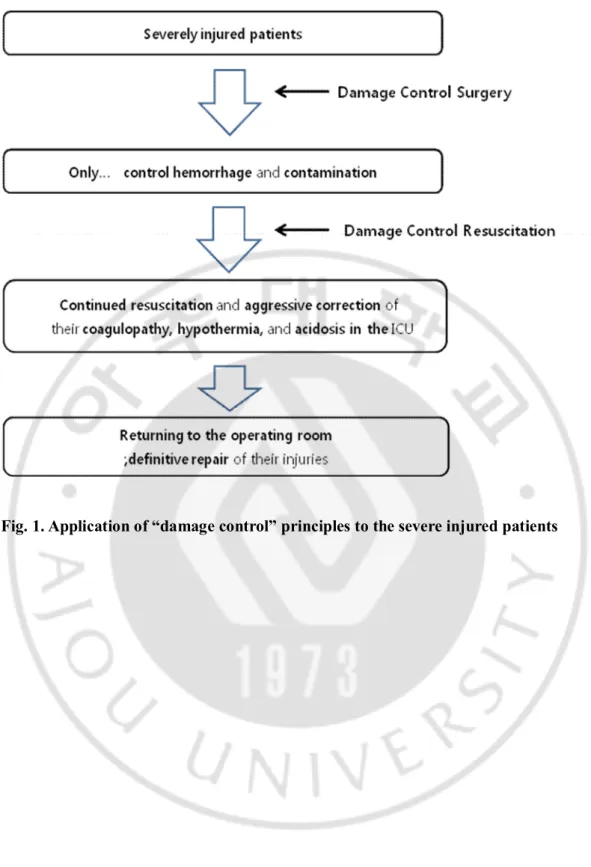 Fig. 1. Application of “damage control” principles to the severe injured patients 